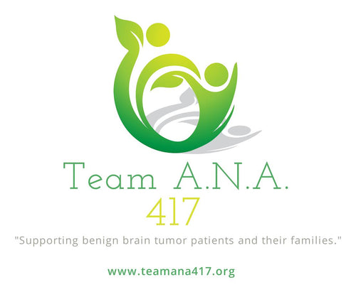 Team A.N.A. 417 Downtown Springfield Holiday Window Challenge Early Bird Entry Fee 2024