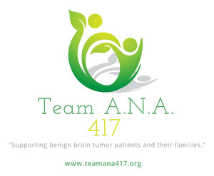 Team A.N.A. 417 Downtown Springfield Holiday Window Challenge Early Bird Entry Fee 2024